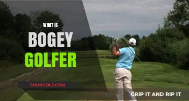 Bogey Golfers: How to Improve Your Game