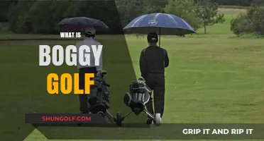 Golfing on Boggy Courses: Strategies for Success