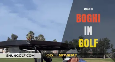 Golf's Bogey Mystery: What, Why, and How?