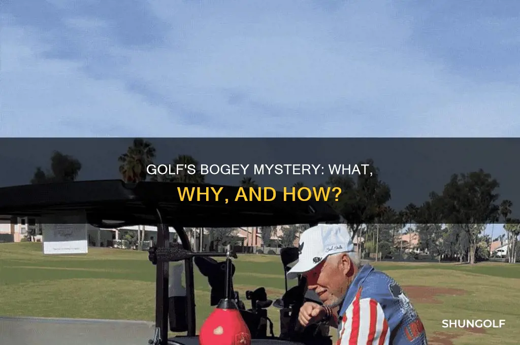 what is boghi in golf
