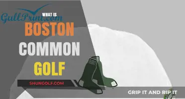 Golfing at Boston Common: A Unique Experience