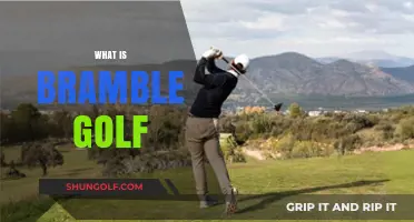 Golf's Bramble Format: How Does It Work?