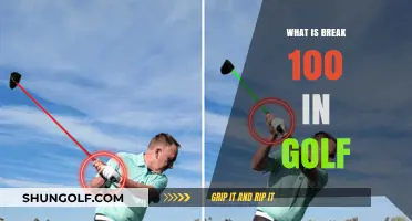 Golfers: Learn How to Break 100