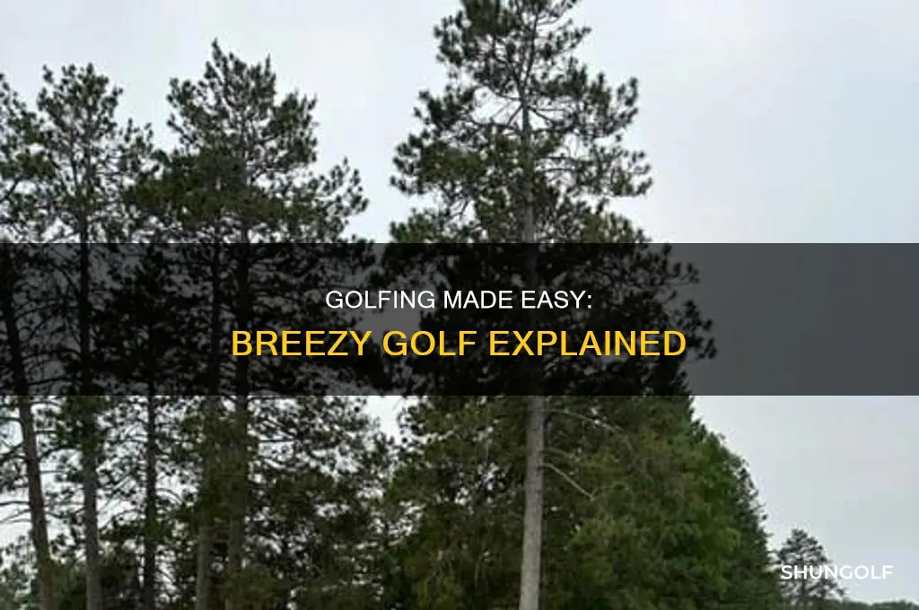 what is breezy golf