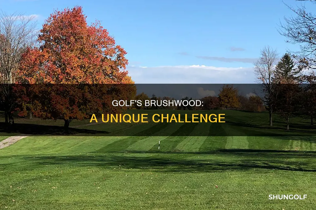 what is brushwood golf
