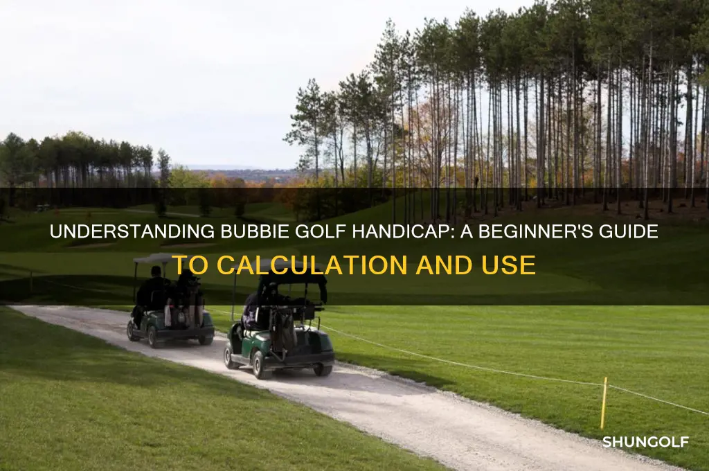what is bubbie golf handicap