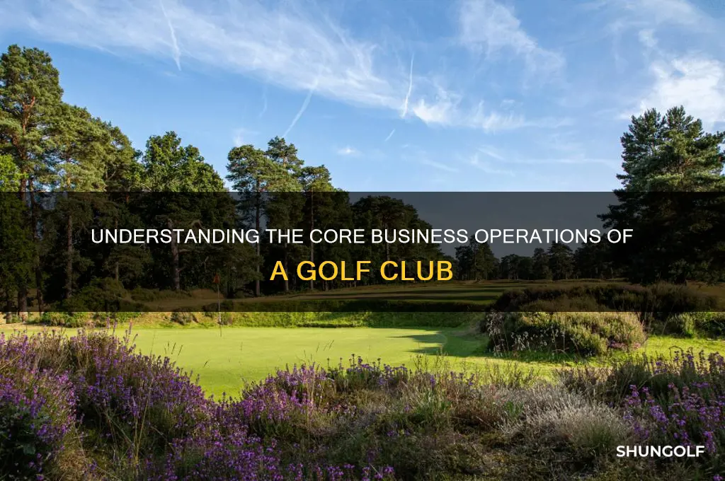 what is business acitivity for golf club