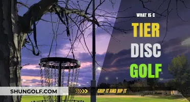 Exploring the C-Tier: A Beginner's Guide to Disc Golf Tournaments