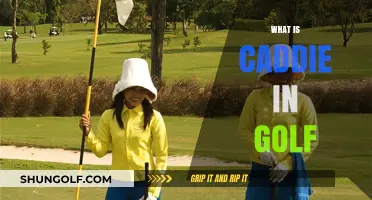 Golf Caddies: What's Their Role?