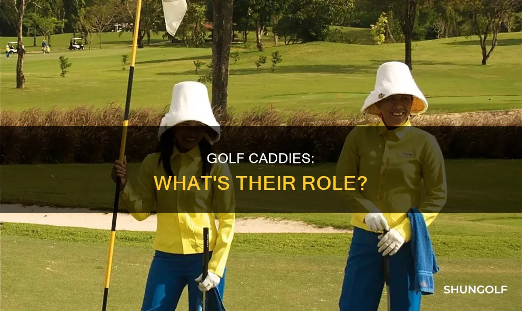 what is caddie in golf
