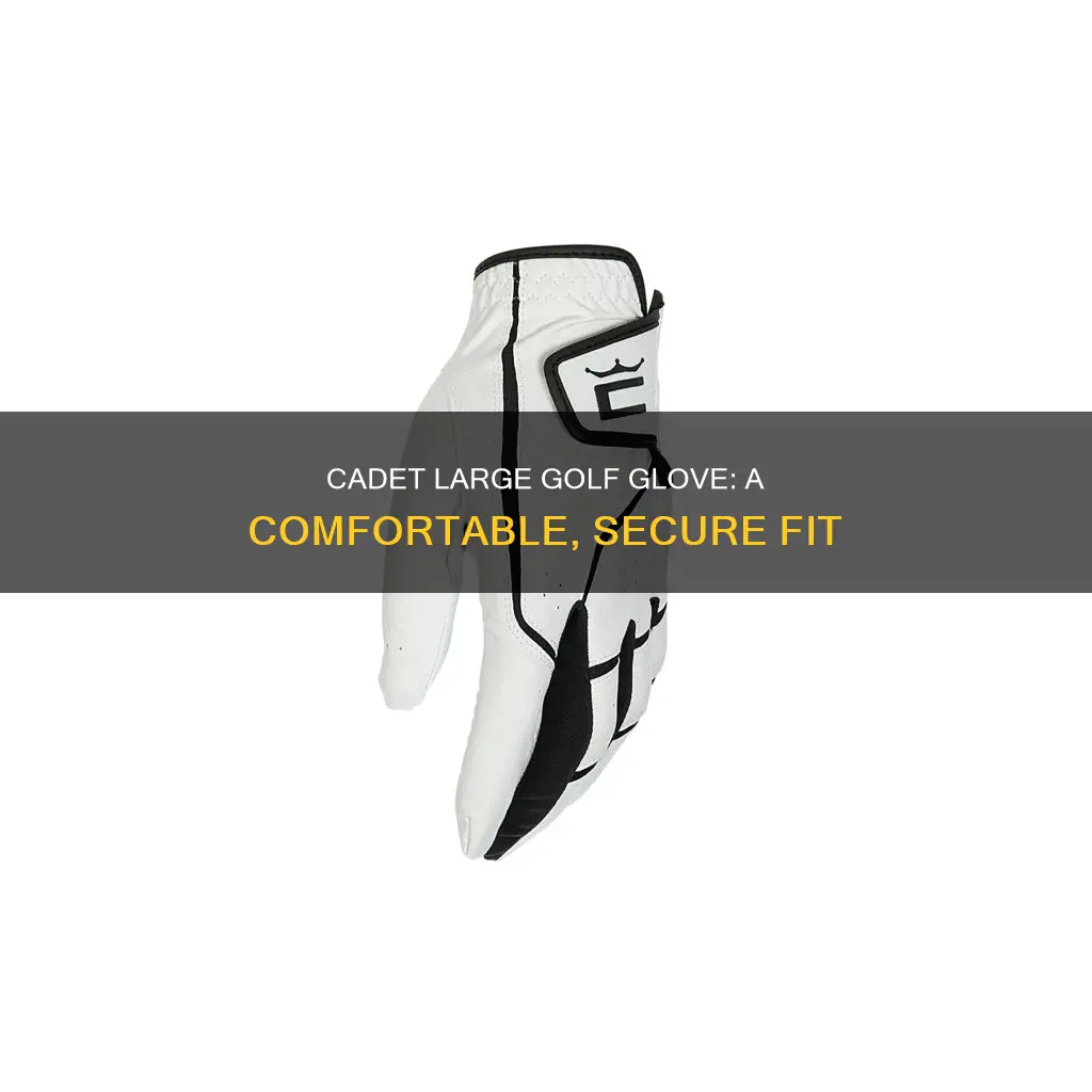 what is cadet large golf glove