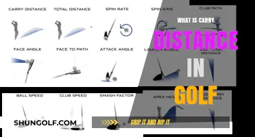 Understanding Carry Distance: Golf's Essential Metric