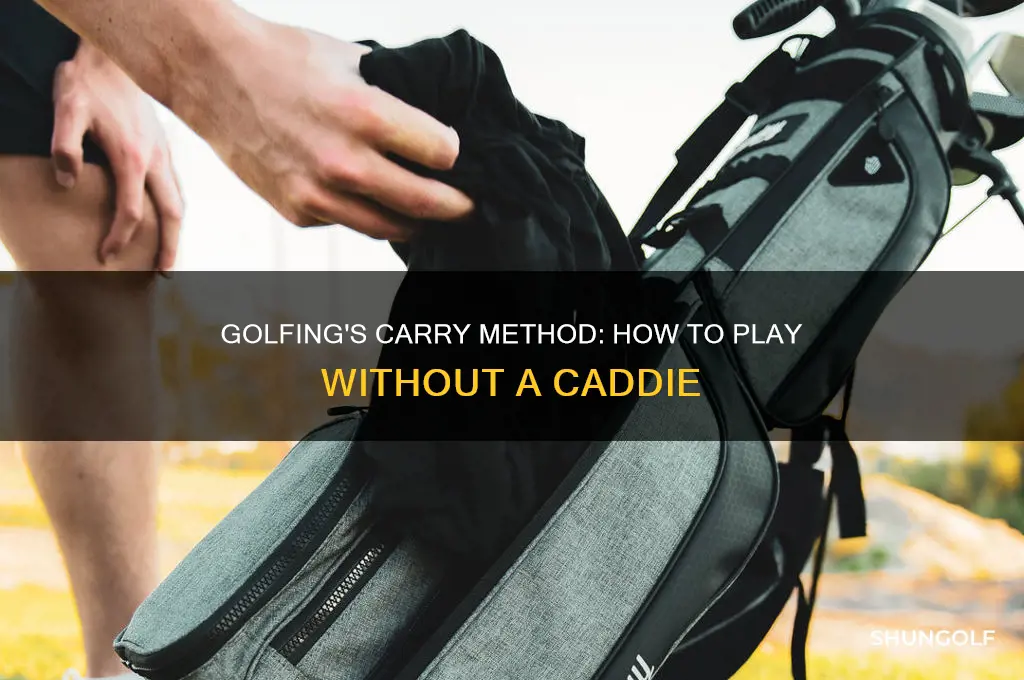 what is carry golf