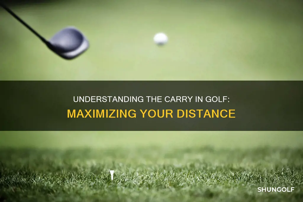 what is carry in golf