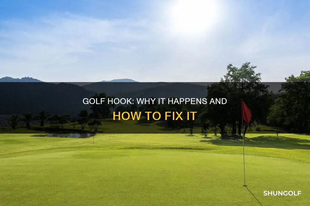 what is causing my golf hook