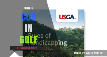 Understanding CDH: Golf's Handicap System