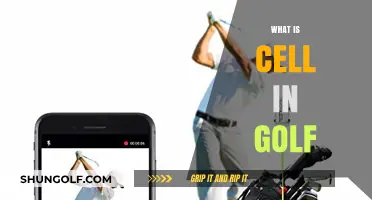 Golf Cell: What's the Deal?
