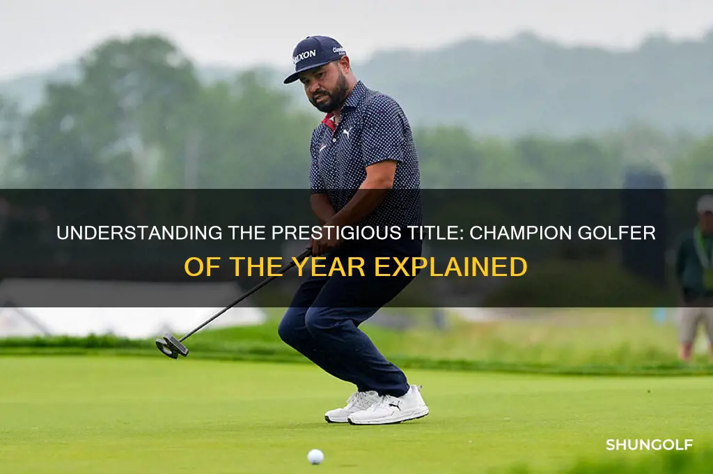 what is champion golfer of the year