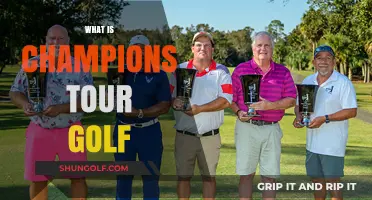 Champions Tour Golf: Senior Pros, Major Wins