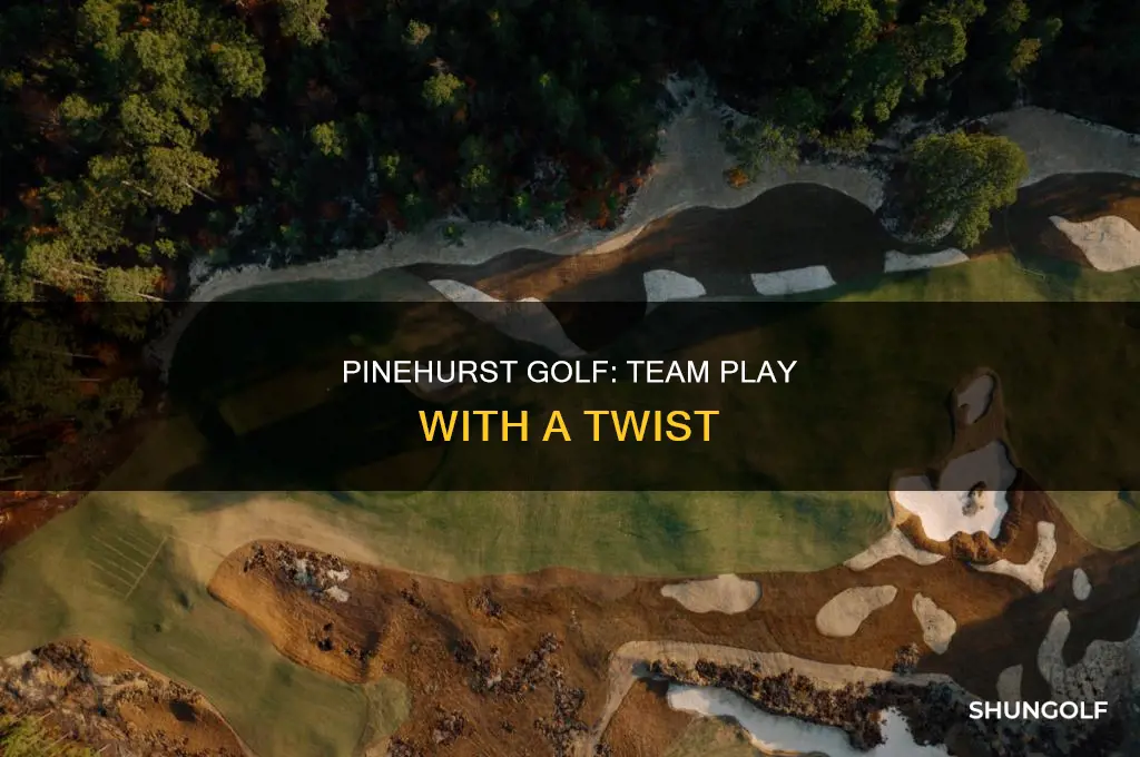 what is chapman pinehurst golf format