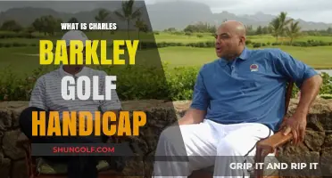 Charles Barkley's Golf Handicap: Unveiling the NBA Star's Score