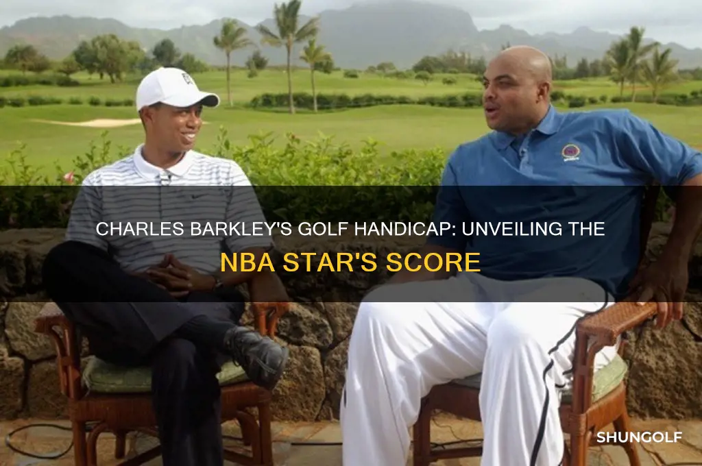 what is charles barkley golf handicap