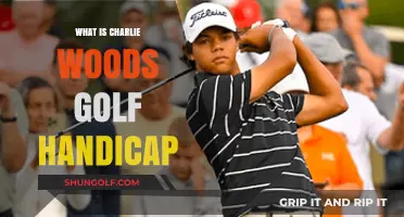 Exploring Charlie Woods' Golf Handicap: A Rising Star's Journey