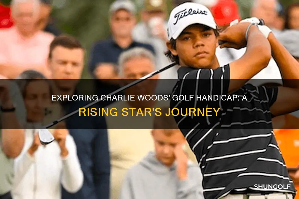 what is charlie woods golf handicap