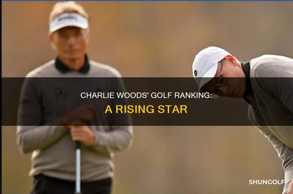 what is charlie woods golf ranking