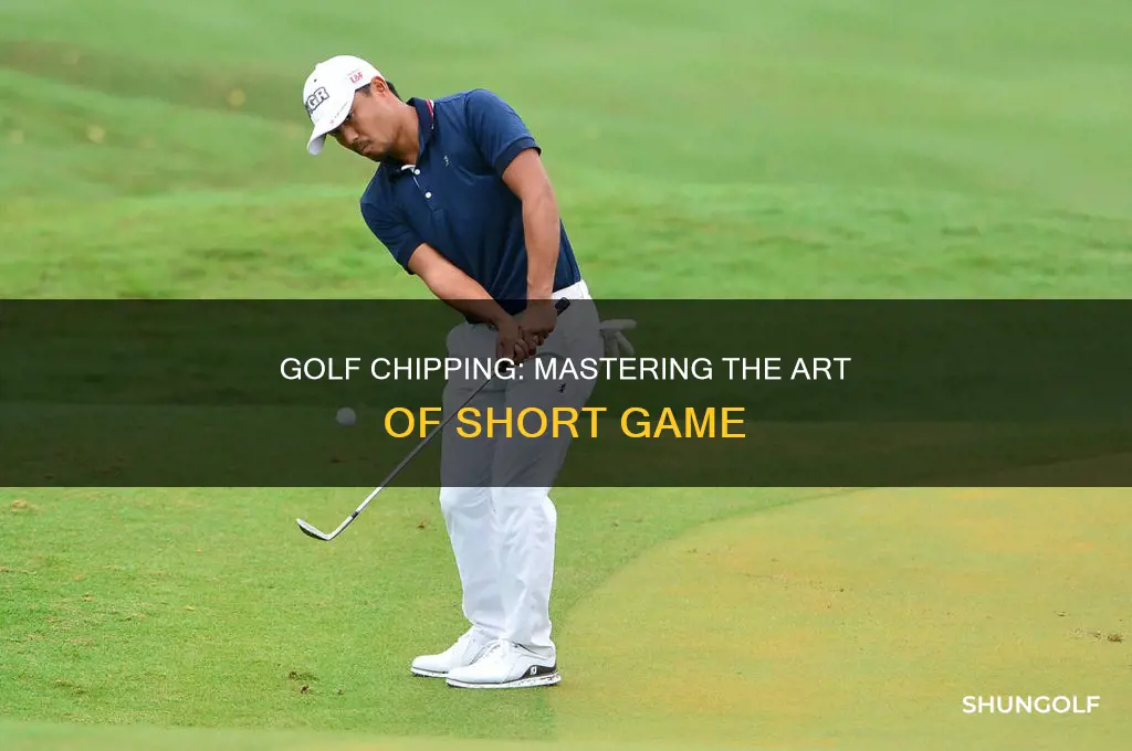 what is chipping golf