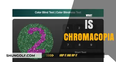The Art of Chromacopia: A New Vision