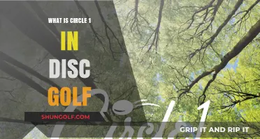 Exploring the Core: Understanding Circle 1 in Disc Golf