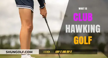Club Hawking Golf: Revolutionizing the Game with AI-Powered Precision