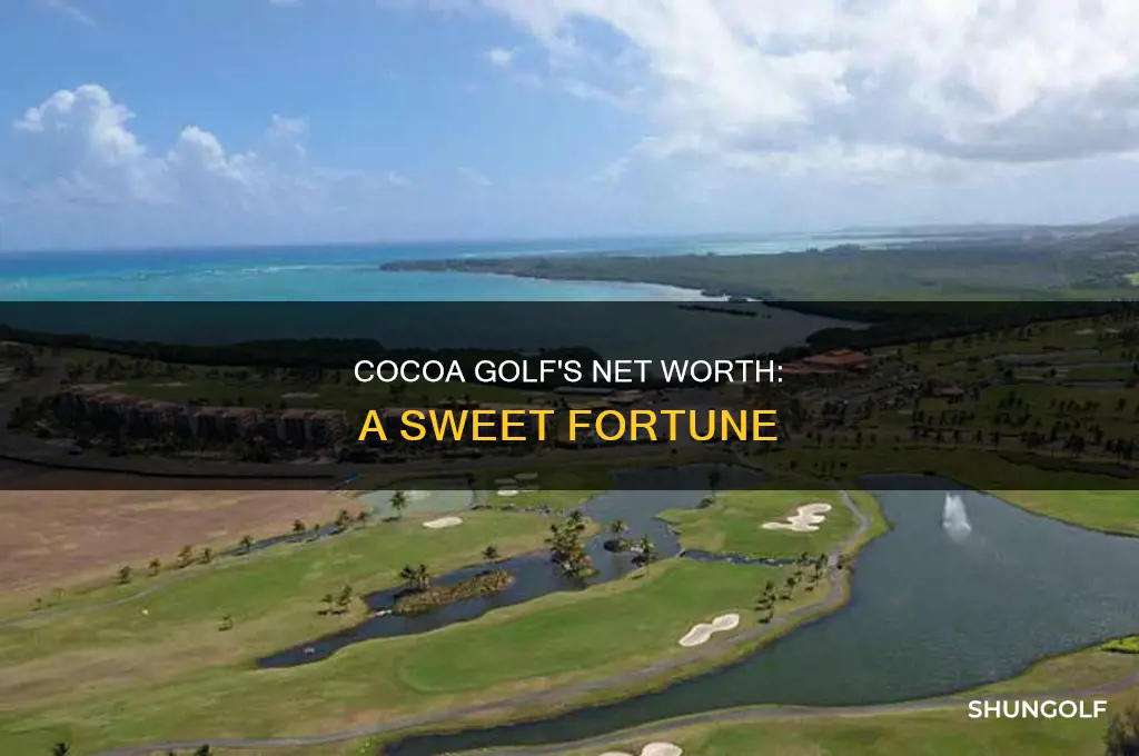 what is cocoa golf net worth