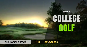 Golfing in College: What You Need to Know