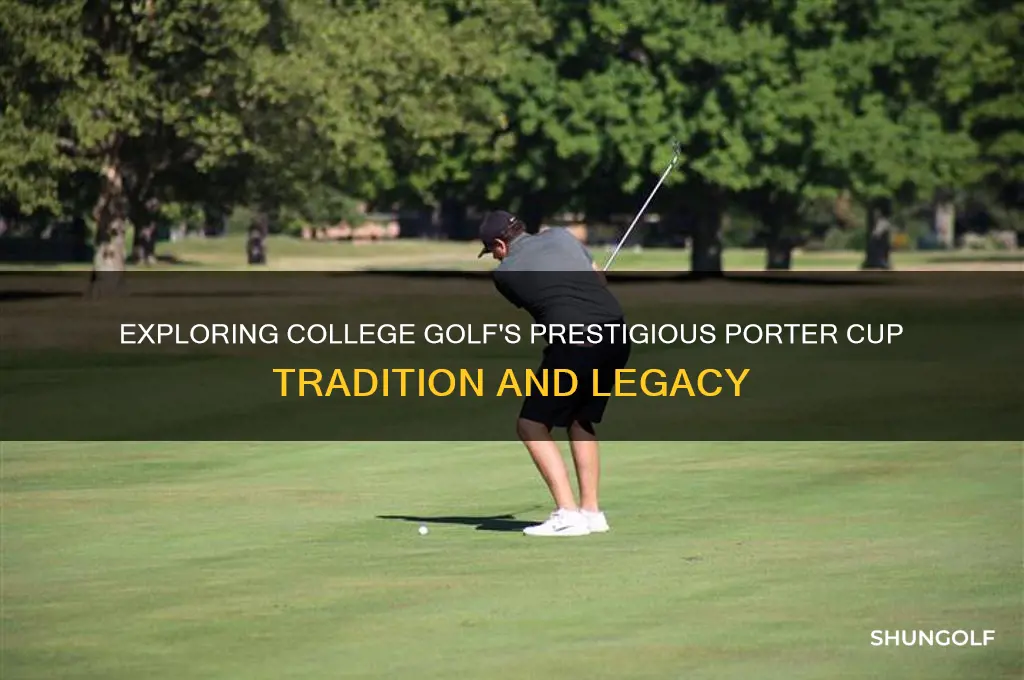 what is college golf