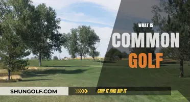 Golf's Common Ground: What Is It?