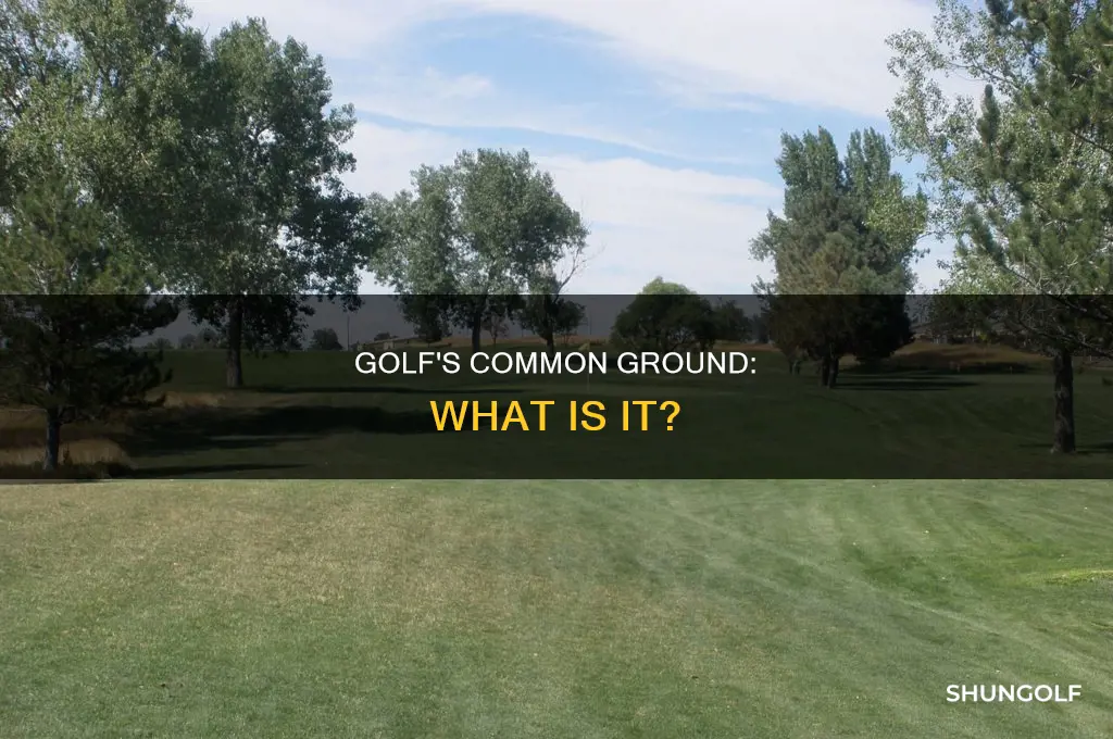 what is common golf