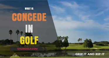 Golf Concessions: When to Concede a Putt