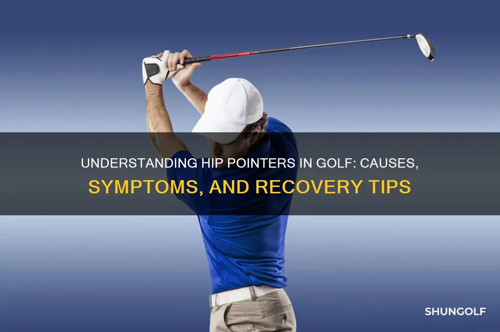 what is considered a hip pointer in golf