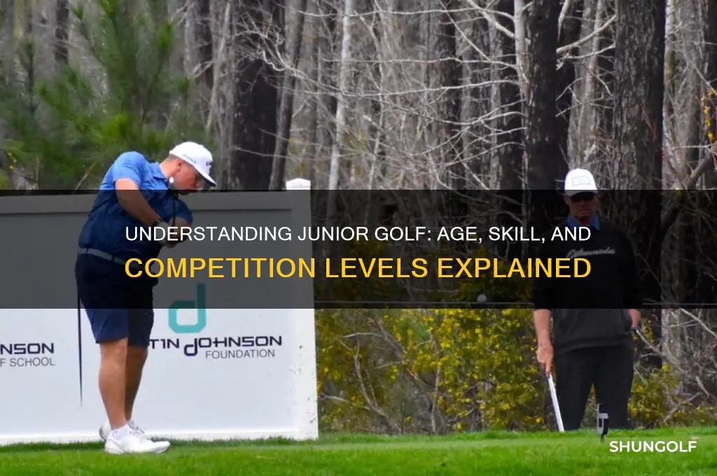 what is considered a junior in golf