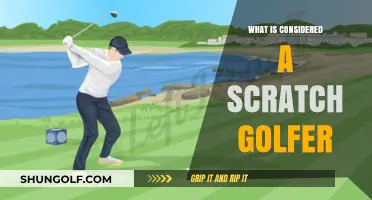Golfing Greatness: Defining Scratch Golfers