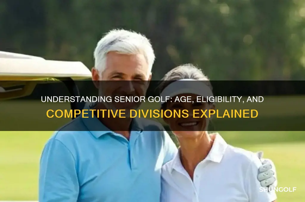 what is considered a senior in golf