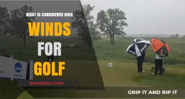 High Winds and Golf: When Does the Breeze Become a Challenge?