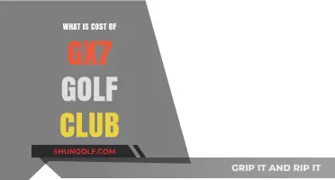 Exploring the Price of GX7 Golf Club: Is It Worth It?