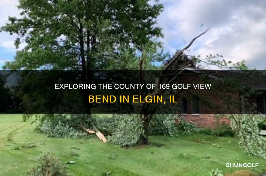 what is county of 169 golf view bnd elgin