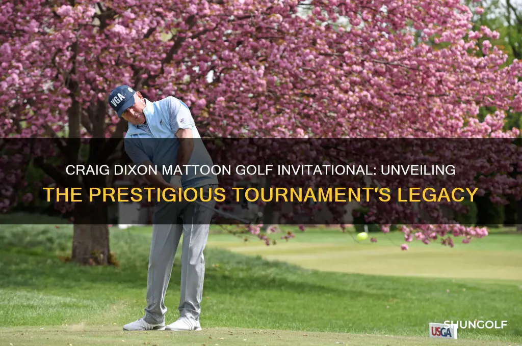 what is craig dixon mattoon golf invitational