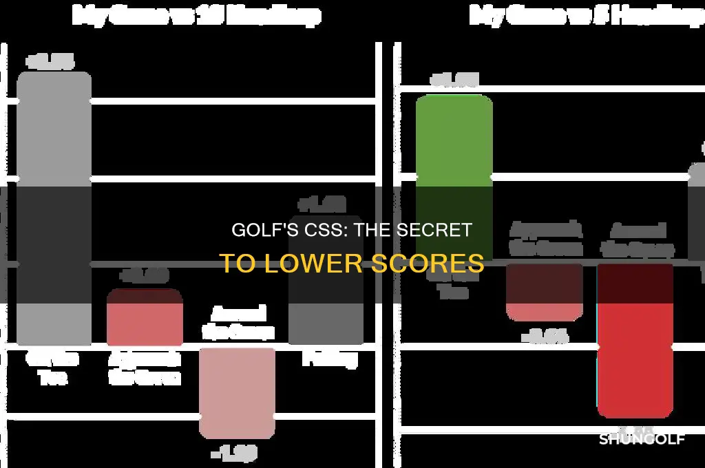 what is css in golf