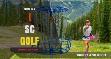 Disc Golf: What's the Sport All About?