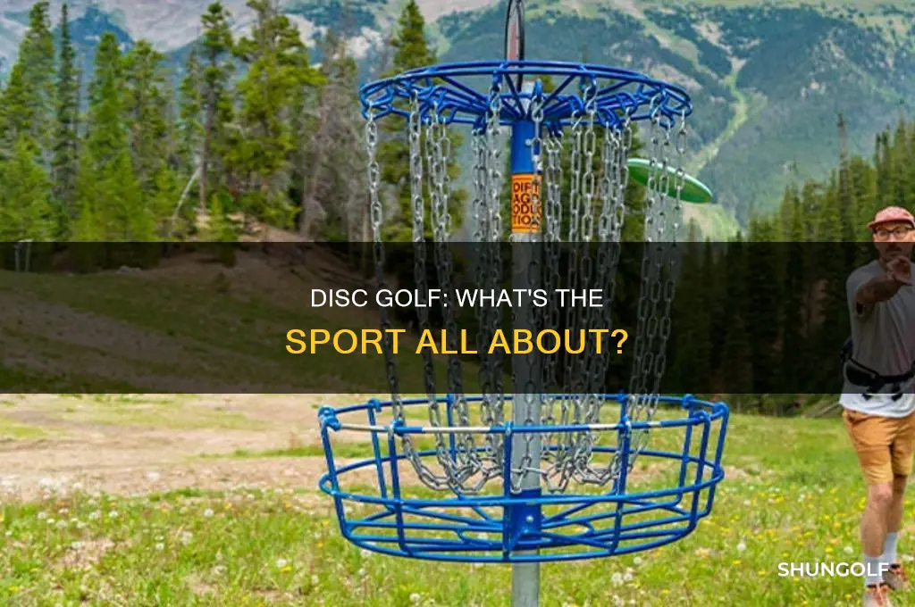 what is d i sc golf